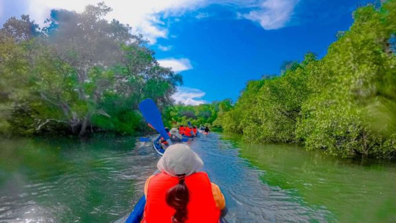 2024年6月4日更新】☆ What 